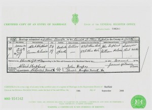 Albert Shepherd and Emma Jane Paulucci's marriage certificate